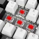 Sharkoon SKILLER SGK50 S2, Gaming-tastatur Hvid, DE-layout, Gateron red