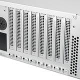 SilverStone RM31 MINI Rackmount Server-kabinet, Rack server kabinet Sort