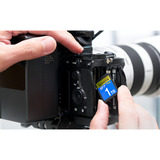 ADATA Premier Extreme SDXC SD8.0 1 TB, Hukommelseskort Sort