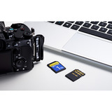 ADATA Premier Extreme SDXC SD8.0 1 TB, Hukommelseskort Sort