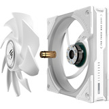 ASUS ROG Eurux GR120 ARGB, Sag fan Hvid