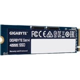 GIGABYTE G440E500G, Solid state-drev 