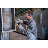 Bosch GWS 17-125 SB PROFESSIONAL vinkelsliber 12,5 cm 11500 rpm 1700 W 2,3 kg Blå/Sort, 11500 rpm, 12,5 cm, Vekselstrøm, 2,3 kg