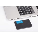 Crucial BX500 2.5" 1000 GB SATA 3D NAND, Solid state-drev Sort, 1000 GB, 2.5", 540 MB/s, 6 Gbit/sek.