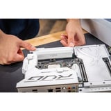 Crucial DIMM 32 GB DDR5-6400 (2x 16 GB) Dual-kit, Hukommelse Hvid