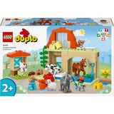 LEGO 10416, Bygge legetøj 