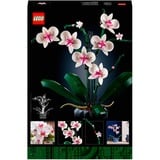 LEGO Botanicals Orkidé, Bygge legetøj Byggesæt, 18 År, Plast, 608 stk, 758 g