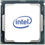Intel® Xeon E-2224G processor 3,5 GHz 8 MB Smart cache Kasse Intel Xeon E, LGA 1151 (stik H4), 14 nm, Intel, E-2224G, 3,5 GHz