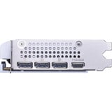 MSI Grafikkort 