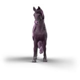 Schleich 70841, Spil figur 