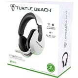 Turtle Beach Stealth 600 Gen 3 Headset Trådløs Spil Bluetooth Hvid, Gaming headset Hvid, Trådløs, 20 - 20000 Hz, Spil, 320 g, Headset, Hvid