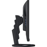 EIZO LED-skærm Sort