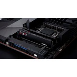 G.Skill F5-6000J3636F32GX2-FX5, Hukommelse Sort