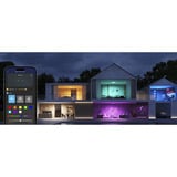 Govee 30cm RGBWW + RGBIC Rund Smart Loftlampe, LED lys 