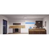 Govee 30cm RGBWW + RGBIC Rund Smart Loftlampe, LED lys 