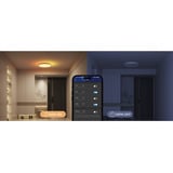 Govee 30cm RGBWW + RGBIC Rund Smart Loftlampe, LED lys 