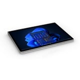 Microsoft Notebook Platinum