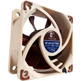 Noctua NF-A6x25 PWM Computerkabinet Ventilator 6 cm Beige, Brun, Sag fan Ventilator, 6 cm, 550 rpm, 3000 rpm, 19,3 dB, 29,2 m³/t