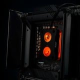 Thermal Grizzly Intel Mycro Direct-Die Pro RGB, Køleplade Sort/gennemsigtig