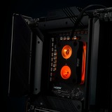 Thermal Grizzly TG-MY-DD-P-RGB-i-V1, Køleplade Sort/gennemsigtig