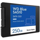 Blue SA510 250 GB renoveret, Solid state-drev