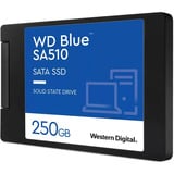 WD Blue SA510 250 GB renoveret, Solid state-drev 
