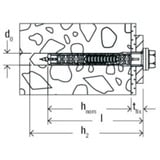 fischer DuoXpand 10x100 FUS R, 562176, Dyvel Lys grå/Rød