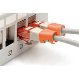 Digitus Farveclips til patchkabler - Orange, Låg Orange