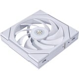 Lian Li 14TL1W, Sag fan Hvid