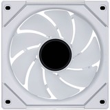 Lian Li G99.12RSLIN1W.00, Sag fan Hvid