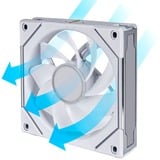 Lian Li G99.12RSLIN1W.00, Sag fan Hvid