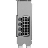 PNY NVIDIA RTX PRO 2000 Blackwell Generation 16GB SB, Grafikkort Bulk