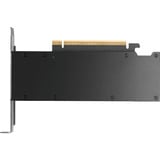 PNY VCNRTXPRO2000-SB, Grafikkort Bulk