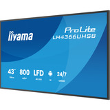 iiyama LH4366UHSB-B1AG, Offentlig visning Sort (mat)