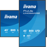 iiyama LH4366UHSB-B1AG, Offentlig visning Sort (mat)