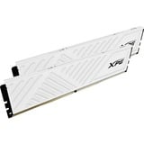 ADATA AX4U360016G18I-DTWHD35, Hukommelse Hvid