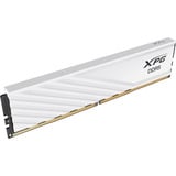 ADATA AX5U6000C3616G-DTLABWH, Hukommelse Hvid