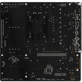 ASRock A620AM PRO RS, Bundkort 