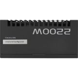 ASUS ASUS ASUS-PRO-WS-2200P, PC strømforsyning Sort