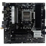 Biostar A620MP-E PRO, Bundkort Sort