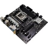 Biostar A620MP-E PRO, Bundkort Sort