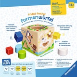 Ravensburger 04581, Færdighedsspil 