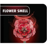 Revell Dream of Roses træblomster, Dekoration træ, Detail