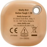 Shelly BLU Button Tough ZB, Knappen mocha