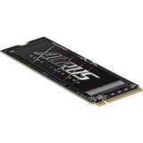 GIGABYTE Solid state-drev Sort