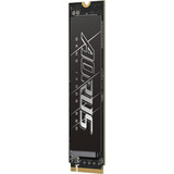 GIGABYTE Solid state-drev Sort