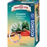 KOSMOS Eksperiment boks 