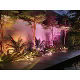 Philips Hue White & Color Ambiance Amarant lineær udendørslampe, LED lys Sort