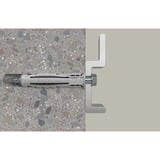 fischer SX Plus 12x60, 567901, Dyvel Lys grå