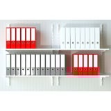 fischer SX Plus 12x60, 567901, Dyvel Lys grå